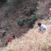 Pesepeda Singosari Tewas Terjatuh ke Jurang 50 Meter di Coban Kaca Batu