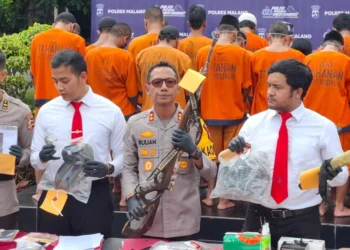 Polisi Ungkap Perburuan Landak Jawa di Sumawe, Dua Tersangka Ditangkap