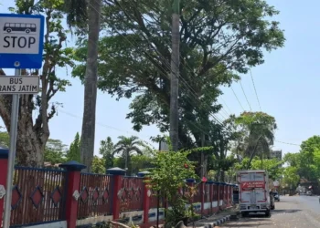 Rambu stop Trans Jatim di depan Stadion Kanjuruhan. Foto: Aisyah Nawangsari Putri