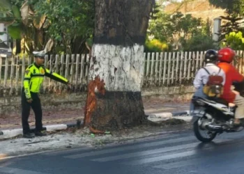 Remaja 18 Tahun Tewas Tabrak Pohon di Jalan Ir Soekarno Batu