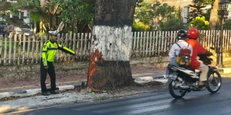 Remaja 18 Tahun Tewas Tabrak Pohon di Jalan Ir Soekarno Batu