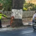 Remaja 18 Tahun Tewas Tabrak Pohon di Jalan Ir Soekarno Batu