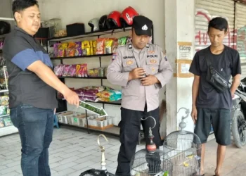 Ruko di Pakisaji Dibobol, 43 Karung Beras dan Burung Peliharaan Raib