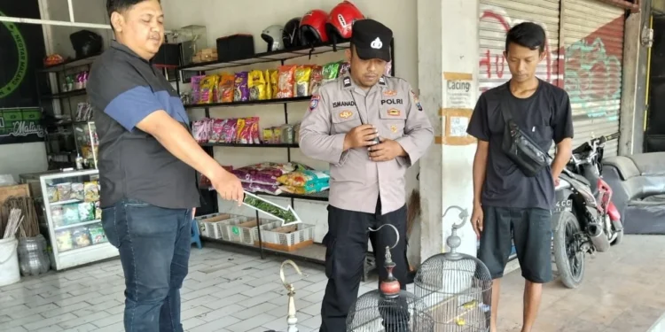 Ruko di Pakisaji Dibobol, 43 Karung Beras dan Burung Peliharaan Raib